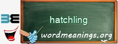 WordMeaning blackboard for hatchling